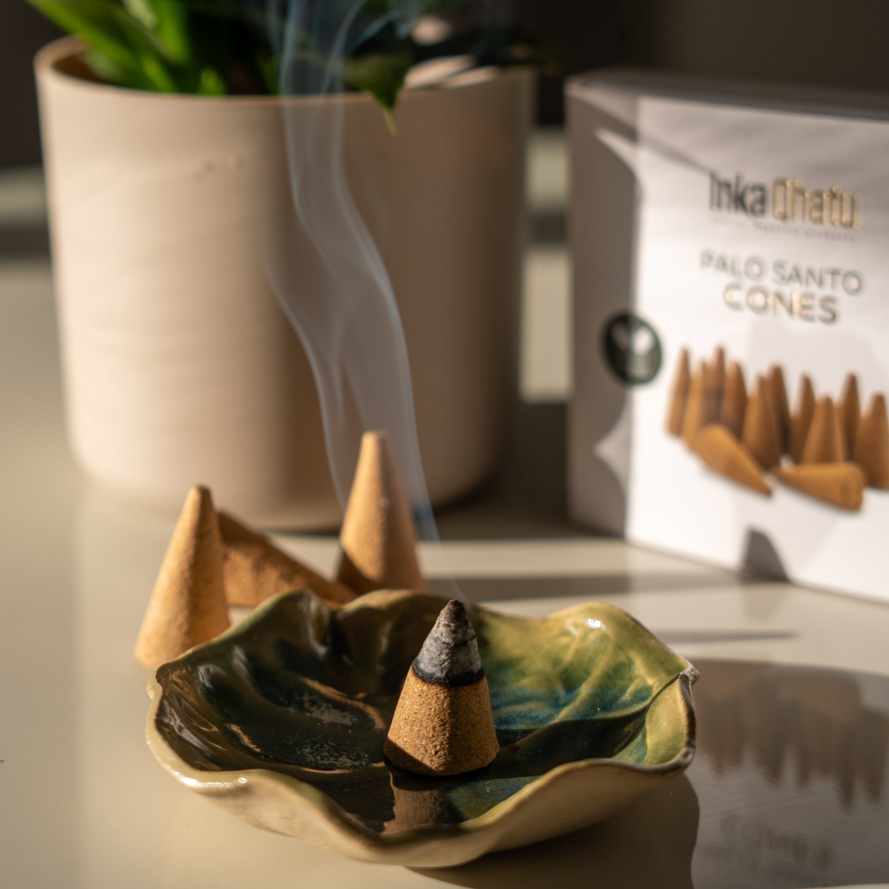 Conos de Palo Santo | 12 unidades | Hecho a mano
