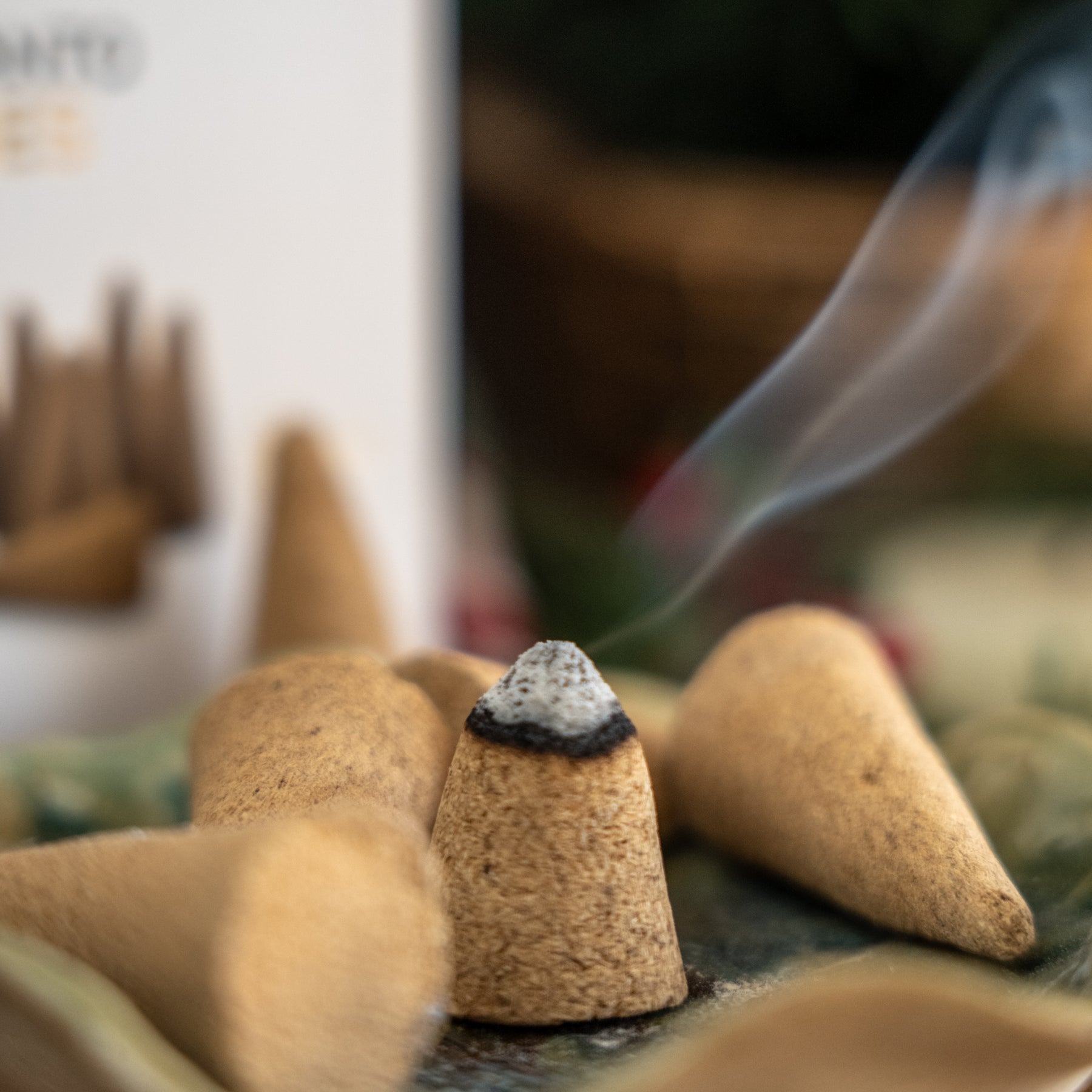 Palo Santo Cones | 12 unidades | Feito à mão